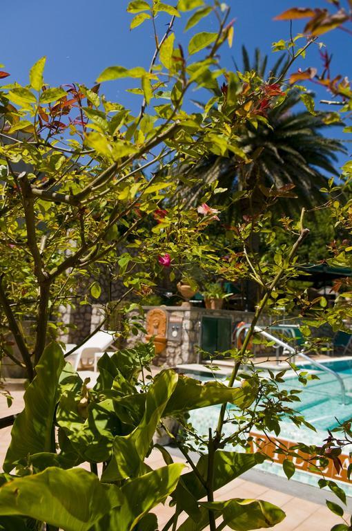 Hotel Villa Sarah Capri Esterno foto